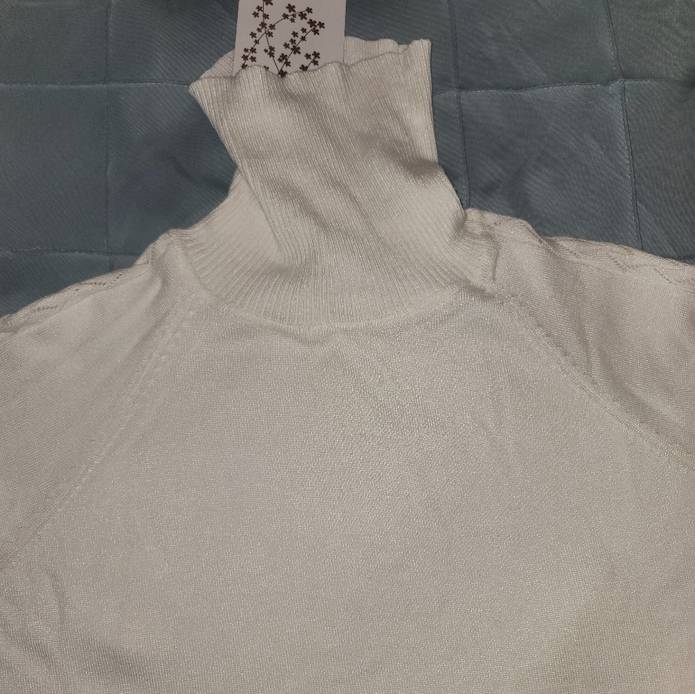Turtleneck sweater
